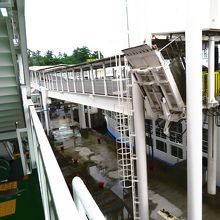 桜島に着いたので下船します。