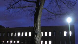 新渡戸夫妻の写真と説明板あり。