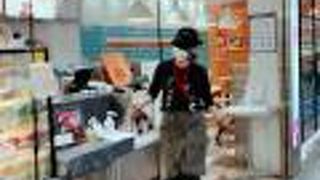 やっぱりマンゴーツリー