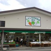 新鮮野菜や果物を買うなら朝に行こう