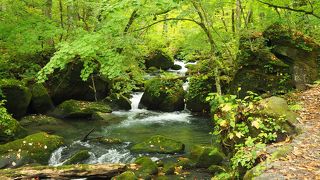 水量がないと迫力に欠ける