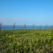 海沿いにある