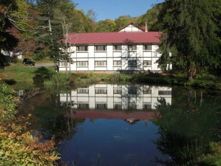 鯉川温泉旅館 写真