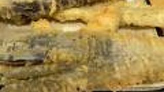 瀬戸うどん　川崎藤崎