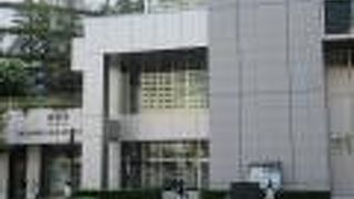 芝生がありました