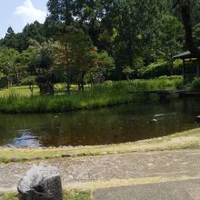 公園