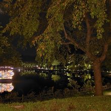 足湯から眺める夜景