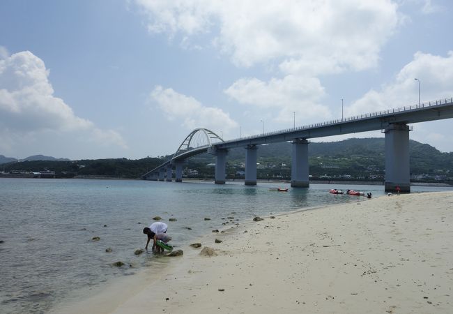 瀬底大橋 クチコミ アクセス 営業時間 美ら海 本部 今帰仁 フォートラベル