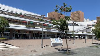 久しぶりです。