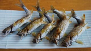 鮎料理の店 鮎の里