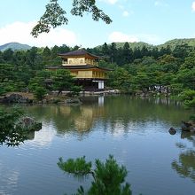 舎利殿と池