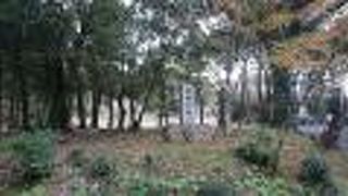 建物の跡と思われる礎石が数か所ありました