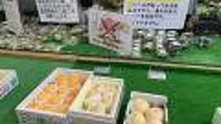 地元のフルーツやお野菜