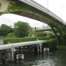 ツタがからまる橋です