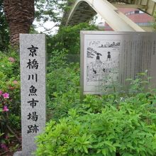 つつじに囲まれています