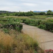 旭川駅の南口と出ると…