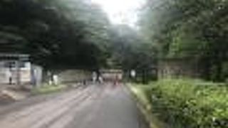 アップダウンが結構ありました。