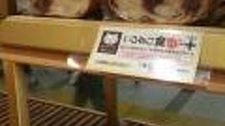 めっちゃネコおし