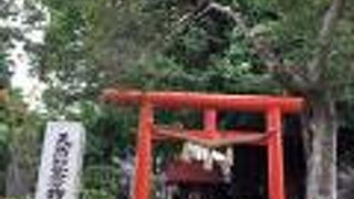 樹齢1200年以上の巨木