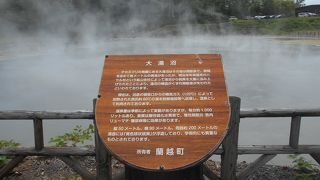 硫黄の臭いがする温泉が底から湧き出す沼