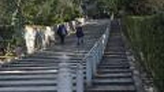 仏様の知恵をいただく