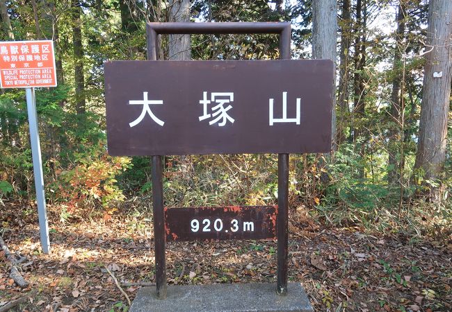 山頂からの展望はありませんが、道中の紅葉が素晴らしい