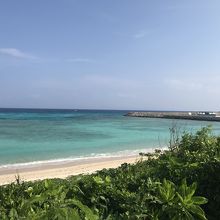 波照間ブルーのニシハマ