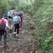 箱根鎌倉古道散策途中、箱根旧街道権現坂を登りました