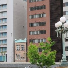 この上からバラ園が見えます