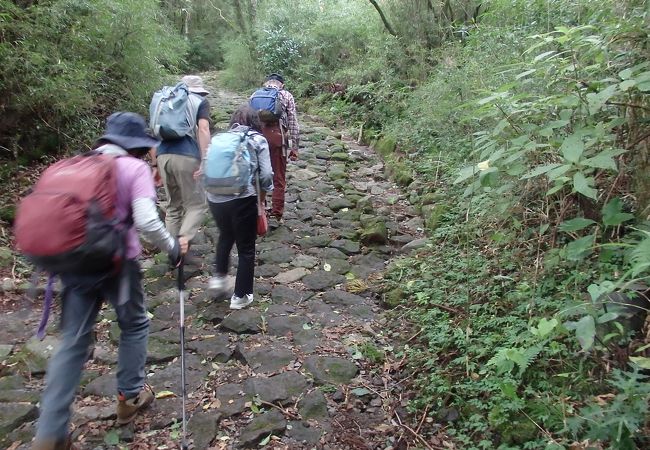 箱根鎌倉古道散策途中、箱根旧街道権現坂を登りました