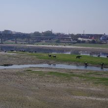 イティマド・ウッダウラー廟の西側を流れるヤムナー川