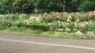 花のシーズンがいいです