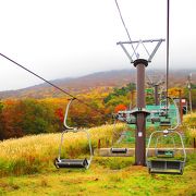 スキーの季節以外もリフトが動いてました!　紅葉の時期に景色を見に行きました!