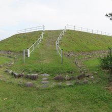 この突出部を含めると50メートルほどという大きさです