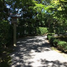 五十鈴川沿いの道