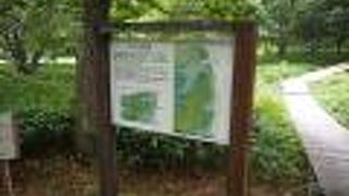 釧路湿原の西側