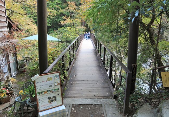 鳩ノ巣渓谷を見るならここから