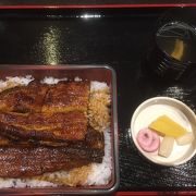 創業400年の老舗うなぎ料亭