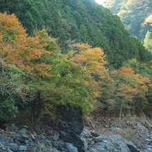 鳩ノ巣渓谷の紅葉①