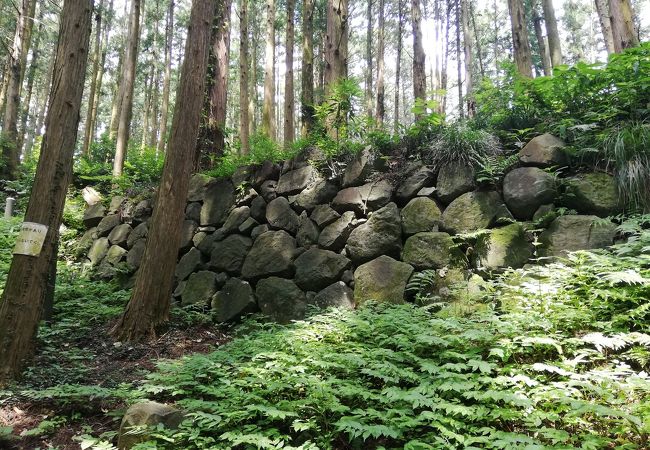 烏山城跡