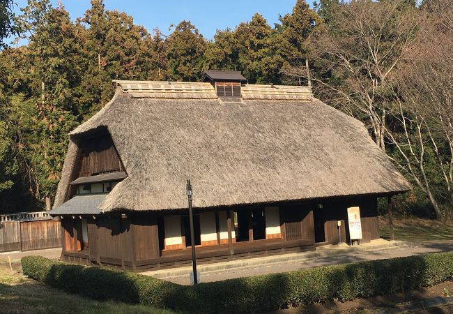 富士の公園