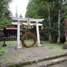 草の輪がインパクトあり