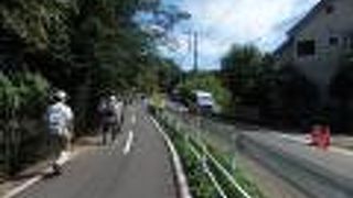  狭山丘陵ウオークで多摩湖畔を歩きました