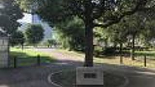 都会のオアシス、アンパンマンこどもミュージアムが隣接し子供の歓声が聞こえてきた