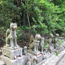 裏手にはたくさんの石狐、これ、ほんの一部です