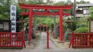 小泉八雲さんのように石狐に驚かされました