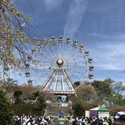 幼児、小学生連れで行きました