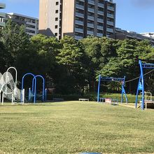 アウトレットの裏の公園 By Miro 県立幕張海浜公園のクチコミ フォートラベル