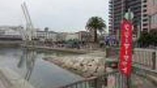 フリーマーケットで賑わっていました