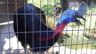 松山郊外のよく整備された動物園